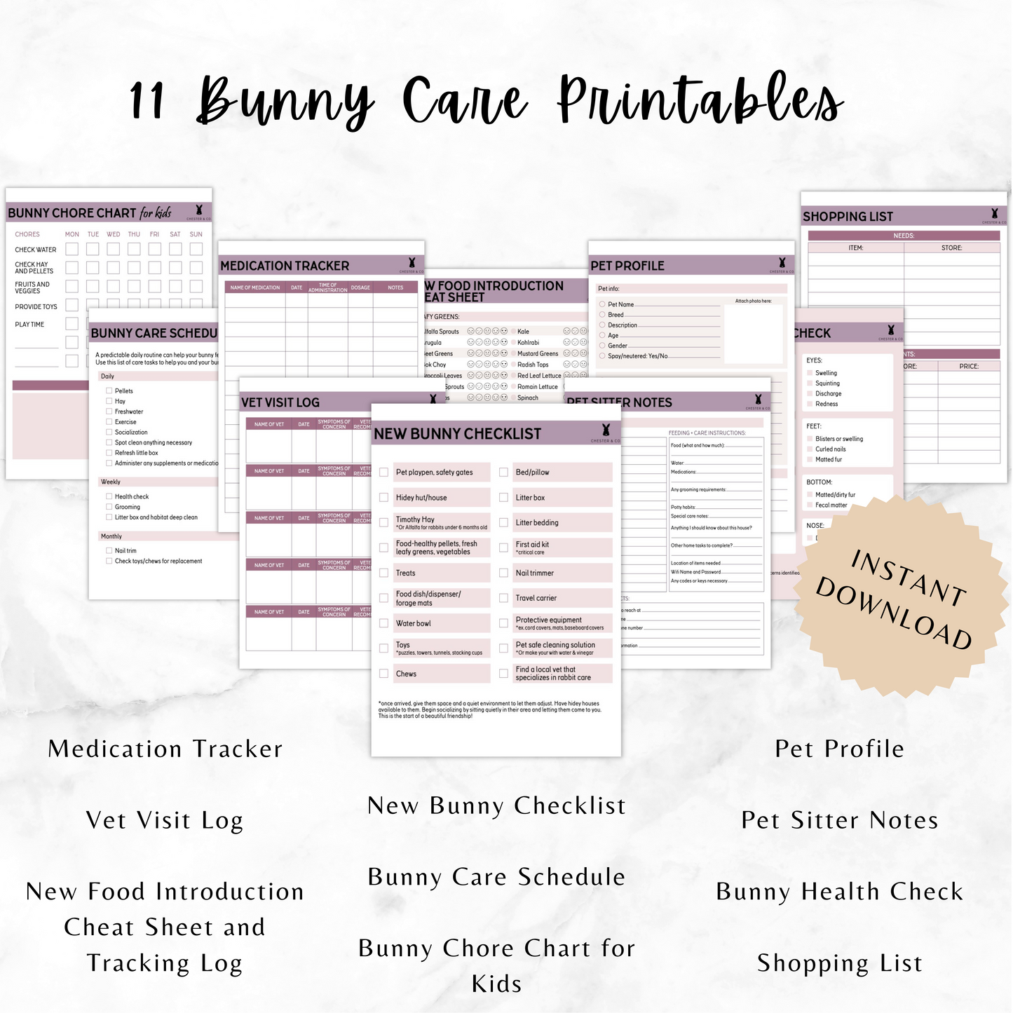 Bunny Care Printables