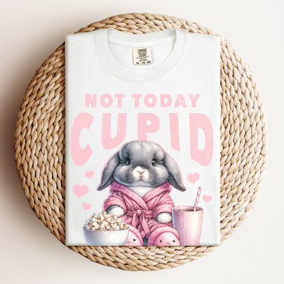 Not Today Cupid Unisex Garment-dyed Heavyweight T-Shirt