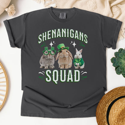 Shenanigans Squad Unisex Garment-dyed Heavyweight T-Shirt