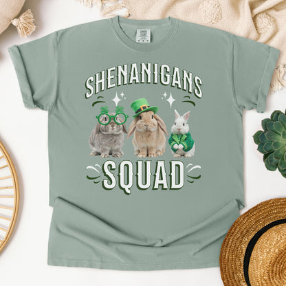 Shenanigans Squad Unisex Garment-dyed Heavyweight T-Shirt