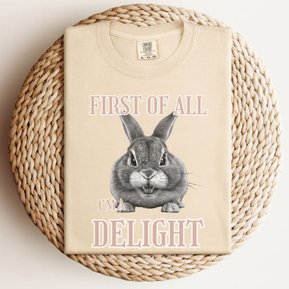 First of All, I'm a Delight Unisex Garment-dyed Heavyweight T-Shirt