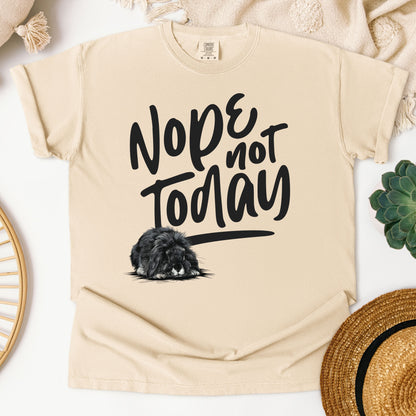 Nope Not Today Unisex Garment-dyed Heavyweight T-Shirt