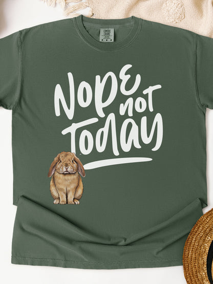 Nope Not Today Unisex Garment-dyed Heavyweight T-Shirt